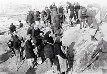 Б. Лосин. Гражданское население на строительстве оборонительных рубежей. 1 декабря 1941 г.