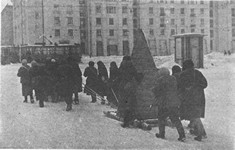 Перевозка надолб на Московском шоссе. Ноябрь 1941 г.