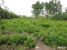 Разметка дорожки