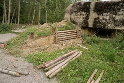 Посмотреть фотографии в альбоме группы в ВКонтакте Субботники у дота-музея