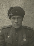 Животенко Николай Арсентьевич