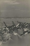 . .    -  . 1943 .